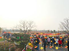 -荷兰花海