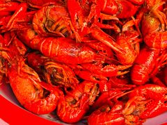 -辣不怕口味虾(凌霄路店)