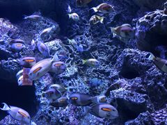 -成都浩海立方海洋公园