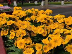 -四川大学(华西校区)