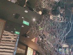 -桂满陇·海市蜃楼·黑金(国金店)