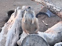 -祥源·阜阳生态乐园