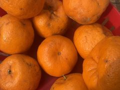 -晓彭肥肠鸡·泡椒鸡火锅(水木天地店)