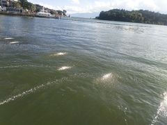 -南诏风情岛