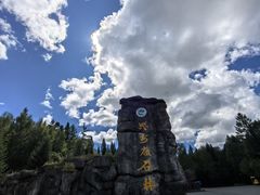 -汤旺河林海奇石景区
