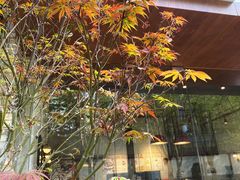 -EnergyCake蛋糕理想国