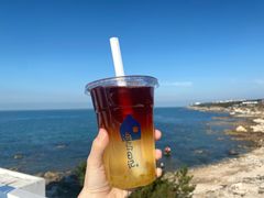 柚子红茶-海岛日记(养马岛店)