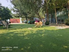 -宠物寄养训练学校