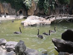 -燕塞湖鸟语林景区