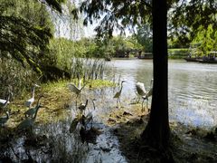 -溱湖国家湿地公园