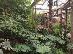 -呀路古热带植物园