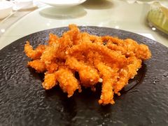 雪花排条-新日月育才大酒店-中餐厅(环城北路店)