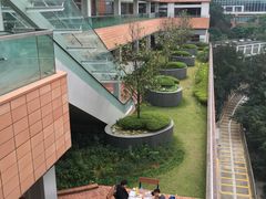 -香港大学