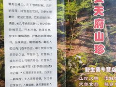 -太婆天府山珍酒楼(亚运村店)