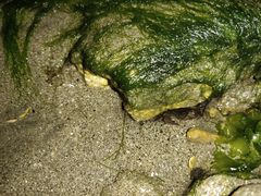 -沙扒湾