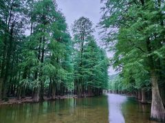 -会稽山峡洞漂流-上青古道