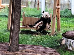 -西安秦岭野生动物园