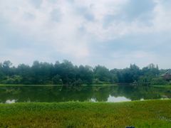 -桤木河湿地公园