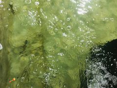 -光头佬钓虾场·烧烤·聚餐·亲子(金沙洲店)