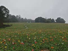 -保利石象湖景区