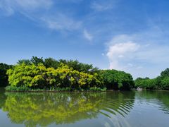 -大湾区中央湿地公园