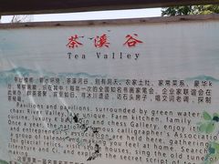 -庐山碧龙潭风景区
