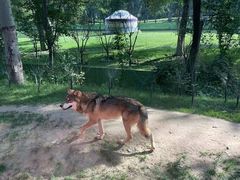 -北京野生动物园