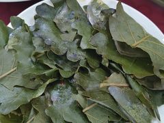 -山海关清和浑锅店