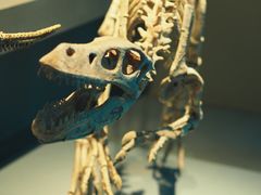 -自贡恐龙博物馆