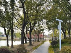 -新江湾城公园