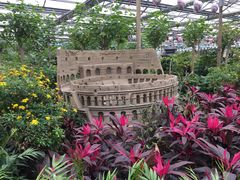 -南宫五洲植物乐园