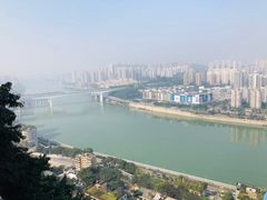 -李子坝梁山鸡(李子坝大鸡哥店)