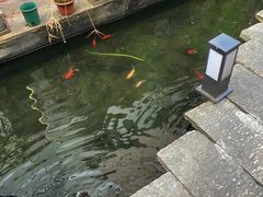 -嘉缤苑