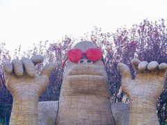 -阳澄湖半岛旅游度假区