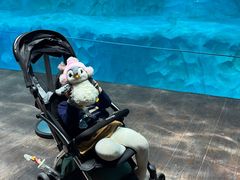 -珠海长隆海洋王国
