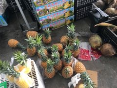 -韩家墅海吉星农产品批发市场