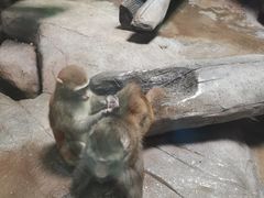 -福州罗源湾海洋世界旅游区