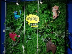 -爱丽丝冒险奇遇记