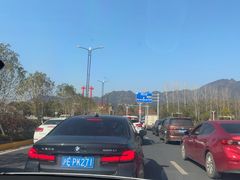-庐山风景名胜区-东林大佛