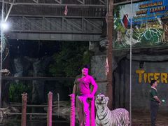 -清迈夜间动物园