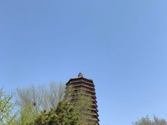 -玲珑塔公园