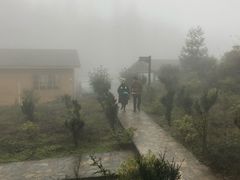 -山王坪喀斯特国家生态公园