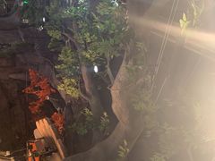 -南美豹国际自助百汇(万象城店)