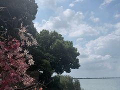 -阳澄湖半岛旅游度假区
