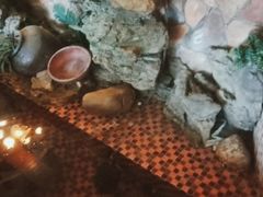 -醉美东江·三文鱼·烧鸡公