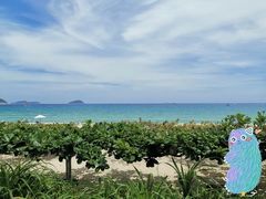 -三亚亚龙湾天域度假酒店