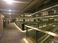 -南京禄口机场雅高铂尔曼大酒店