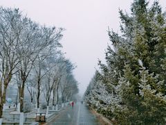 -东北师范大学(净月大街校区)