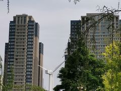 -长白岛森林公园