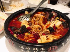 -峨嵋一派